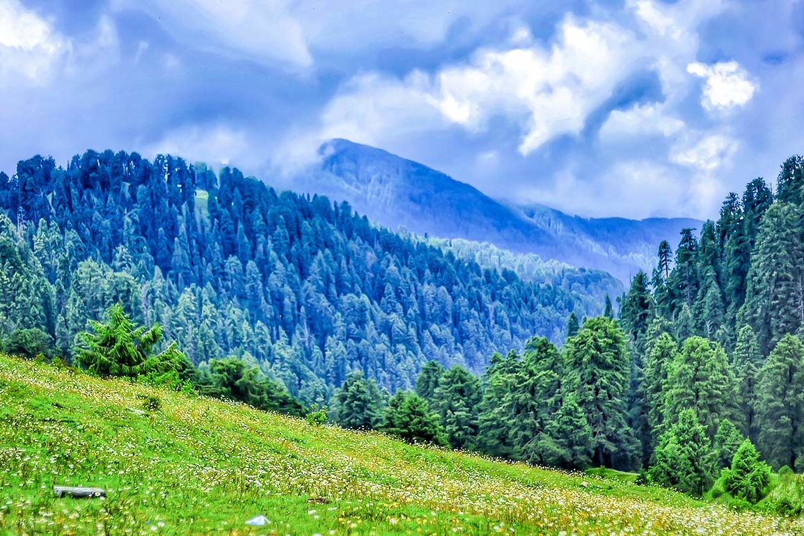 A Peaceful Escape Near Dalhousie